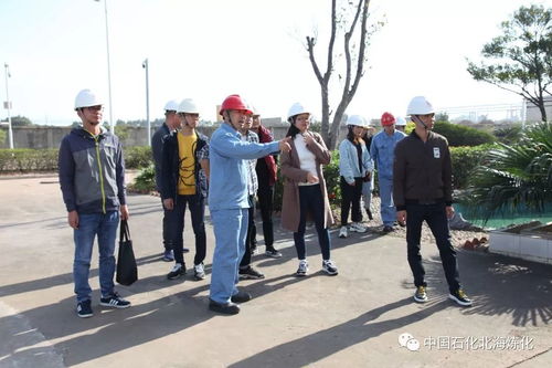 走綠色發(fā)展之路，樹(shù)環(huán)保標(biāo)桿企業(yè)——環(huán)境保護(hù)監(jiān)測(cè)的核心使命與實(shí)踐路徑